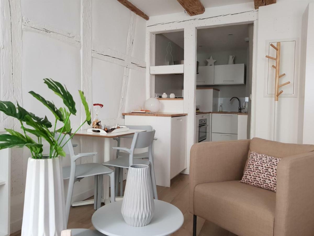 Appartement Maison Verte Centre Colmar